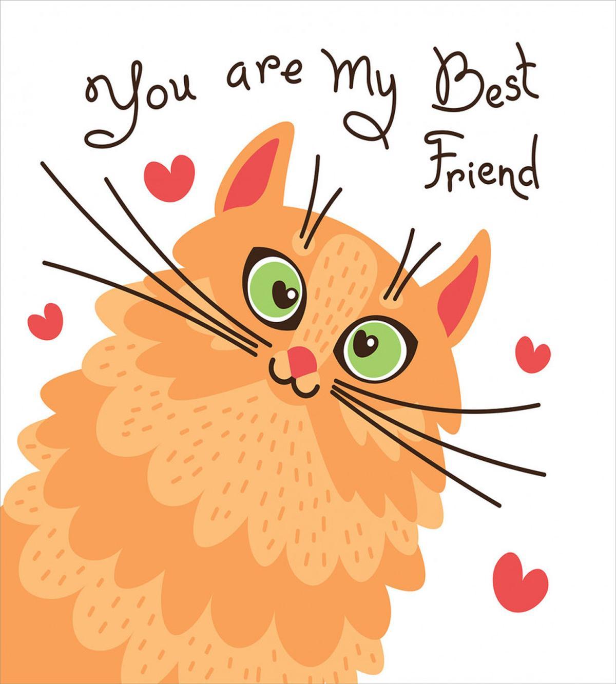Kitten Motivation — Pattern