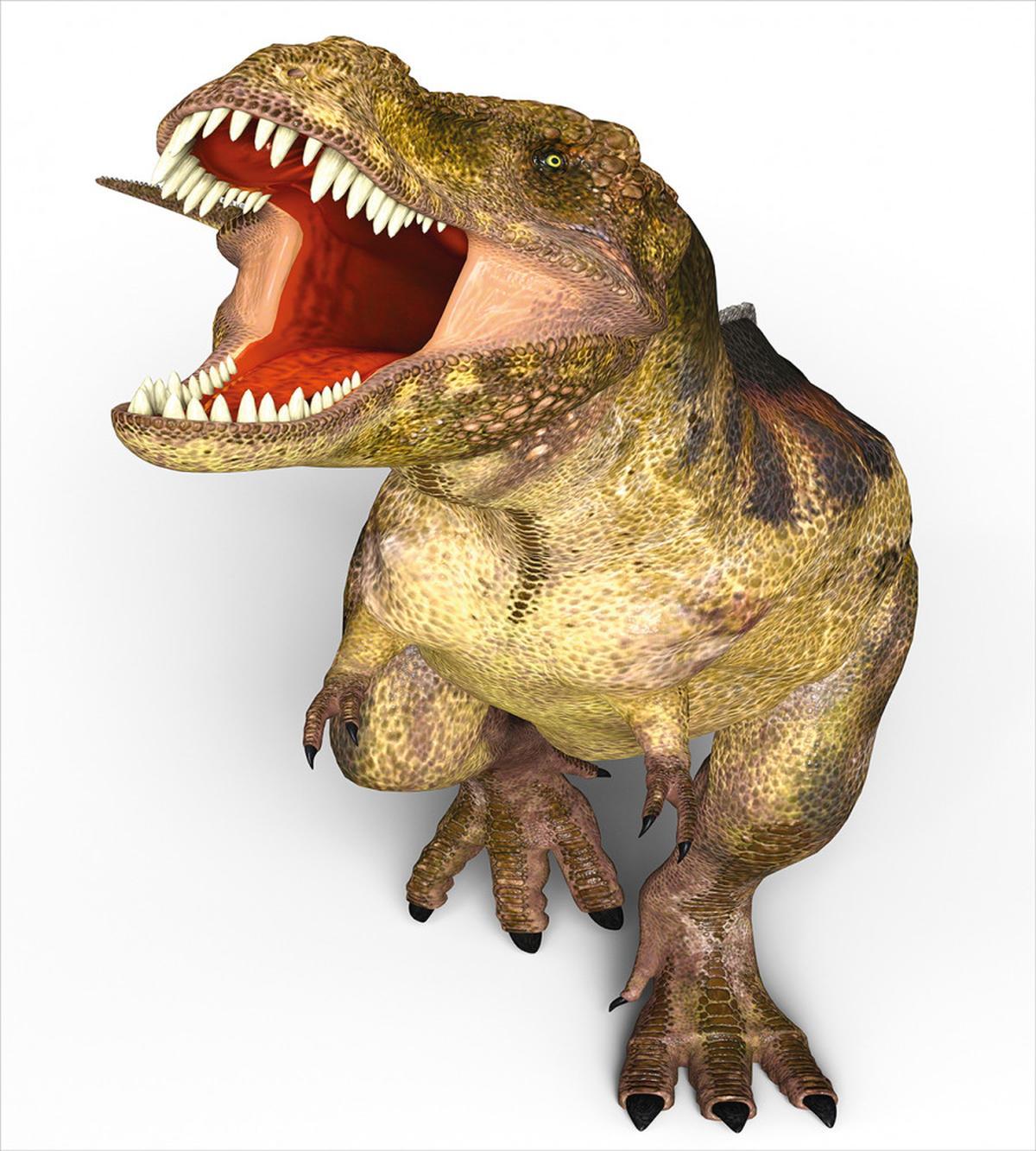 Roaring Vivid T-Rex — Pattern