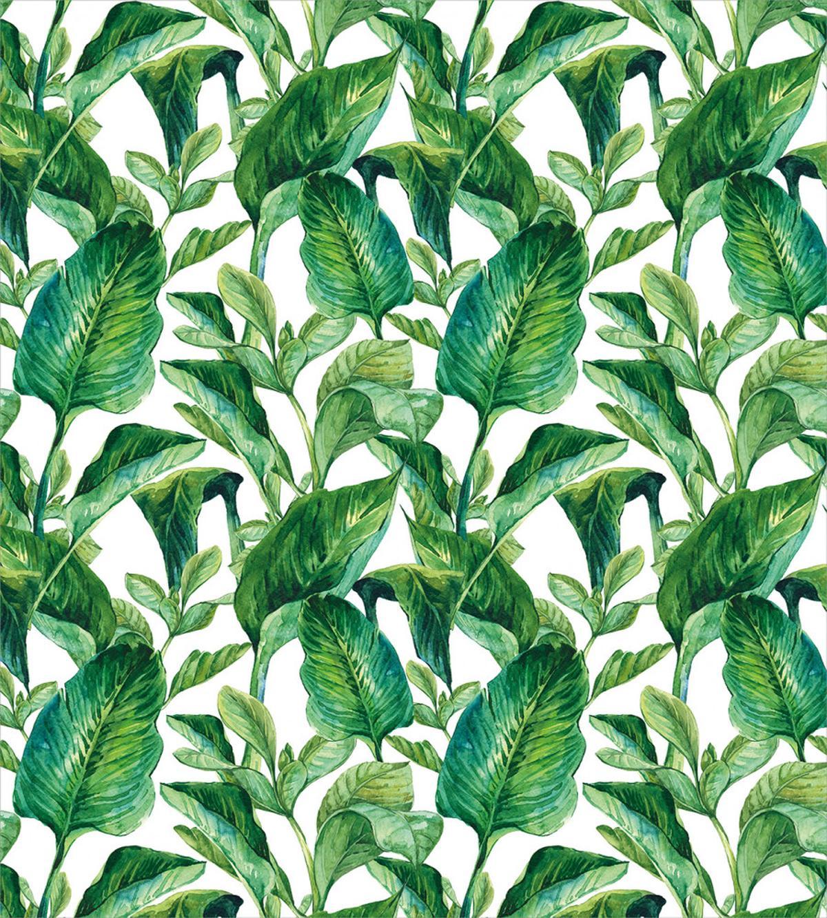 Equatorial Leaves — Pattern