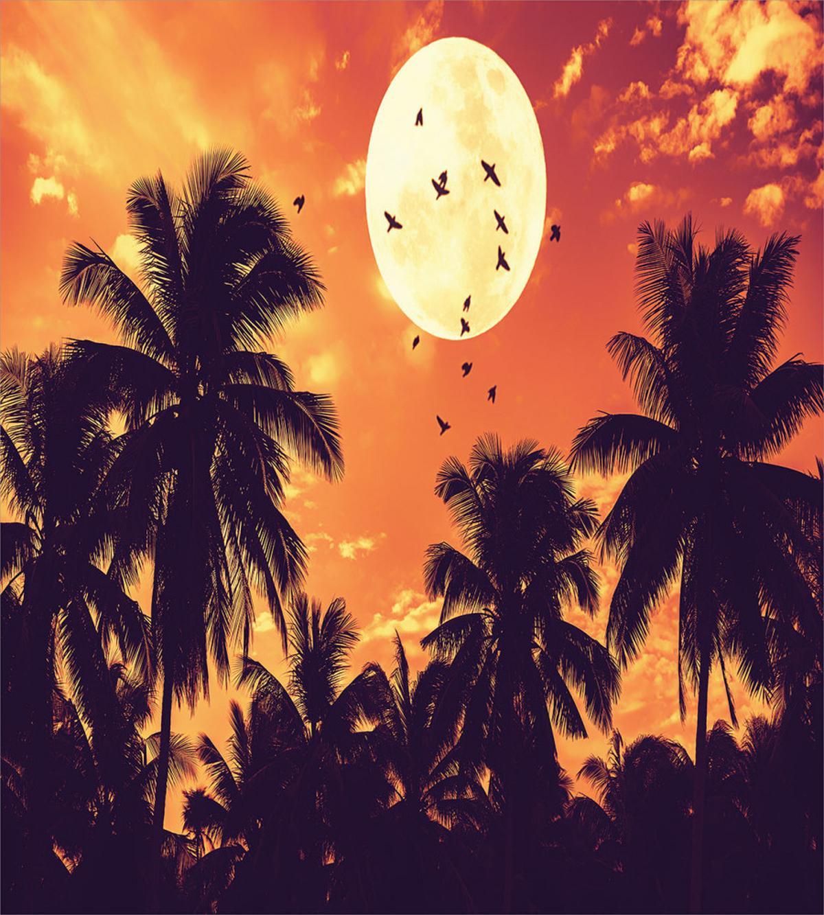 Palms Full Moon Birds — Pattern