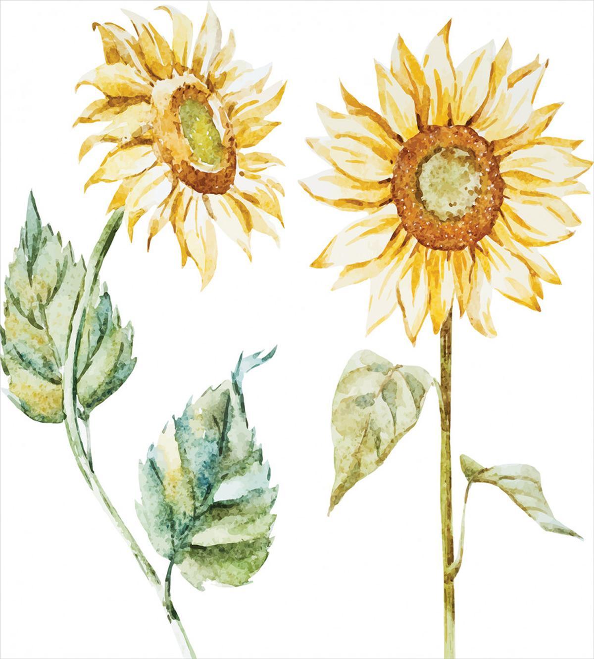 Alluring Sunflowers — Pattern