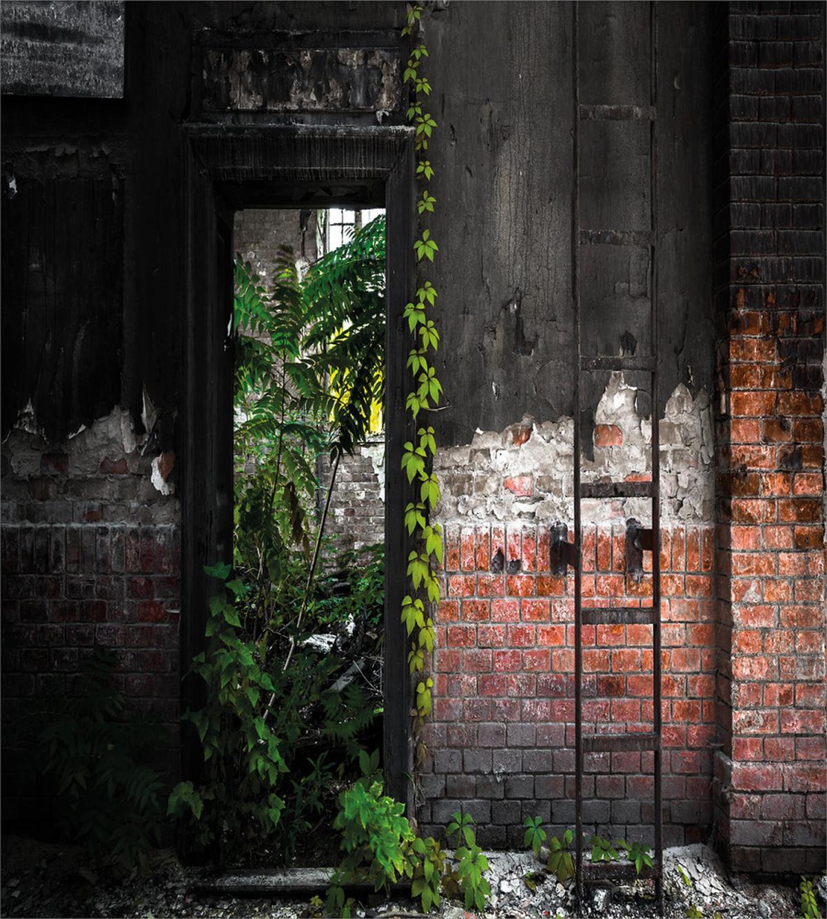 Bricks Plants — Pattern