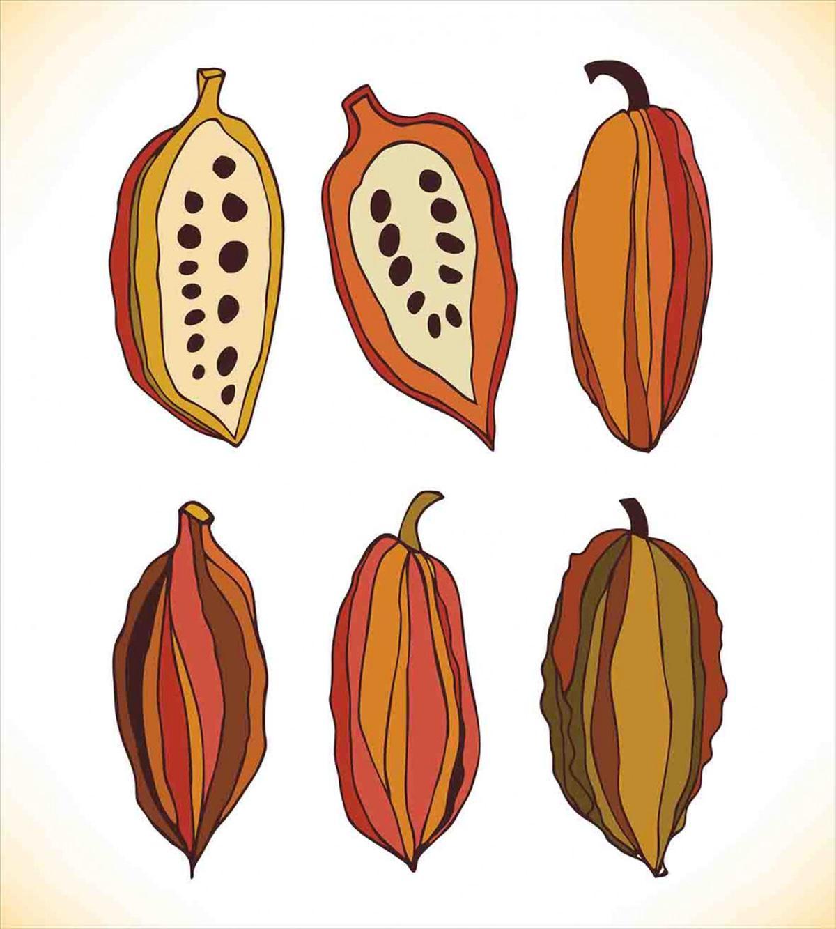 Tropical Fruit Beans Graphic — Pattern