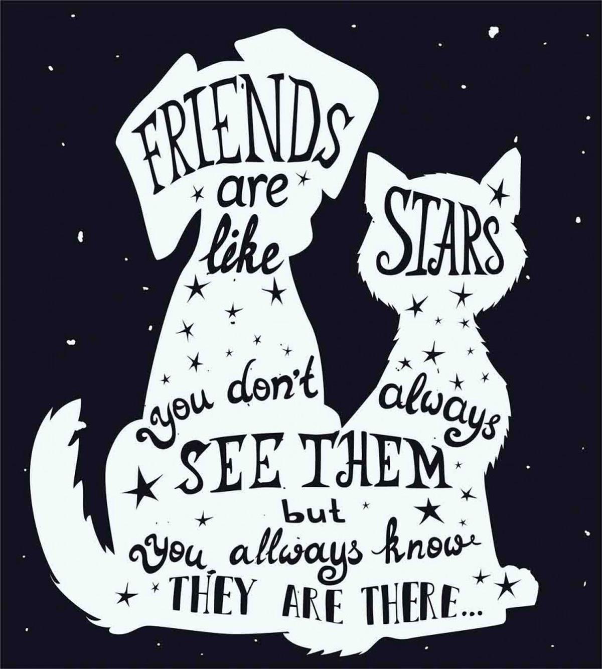Friends are Like Stars — Pattern