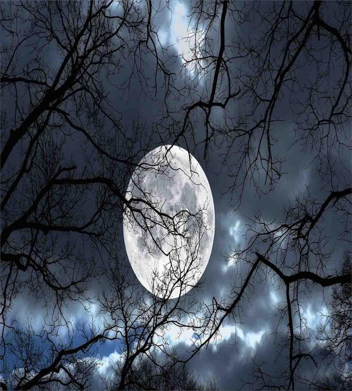 Moon at Night in Forest — Pattern