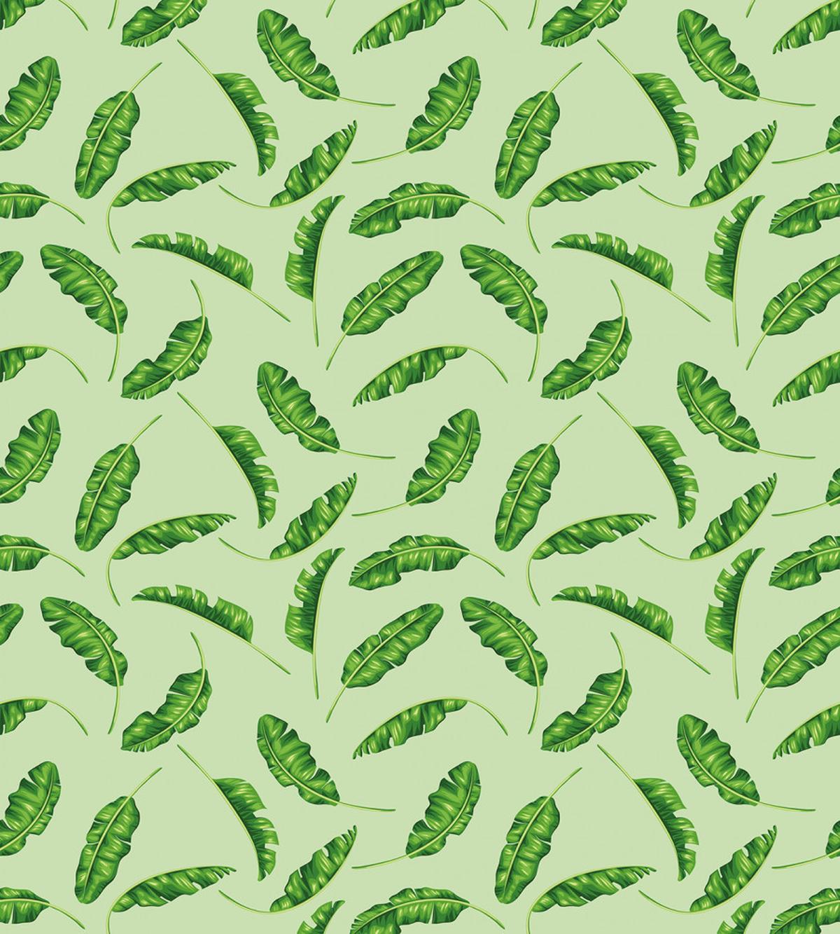 Oceanic Climate Palms — Pattern