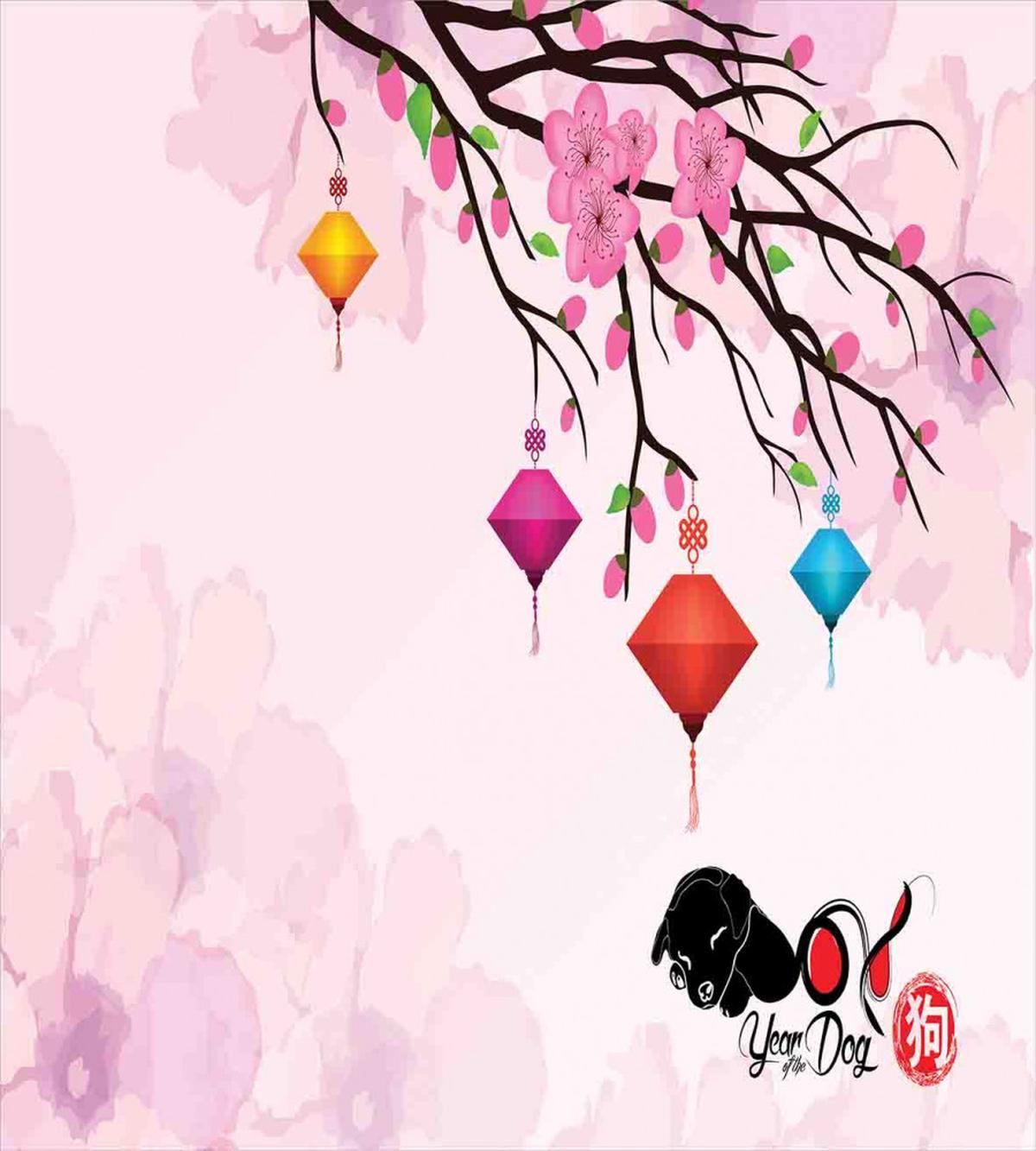 Lunar New Year — Pattern