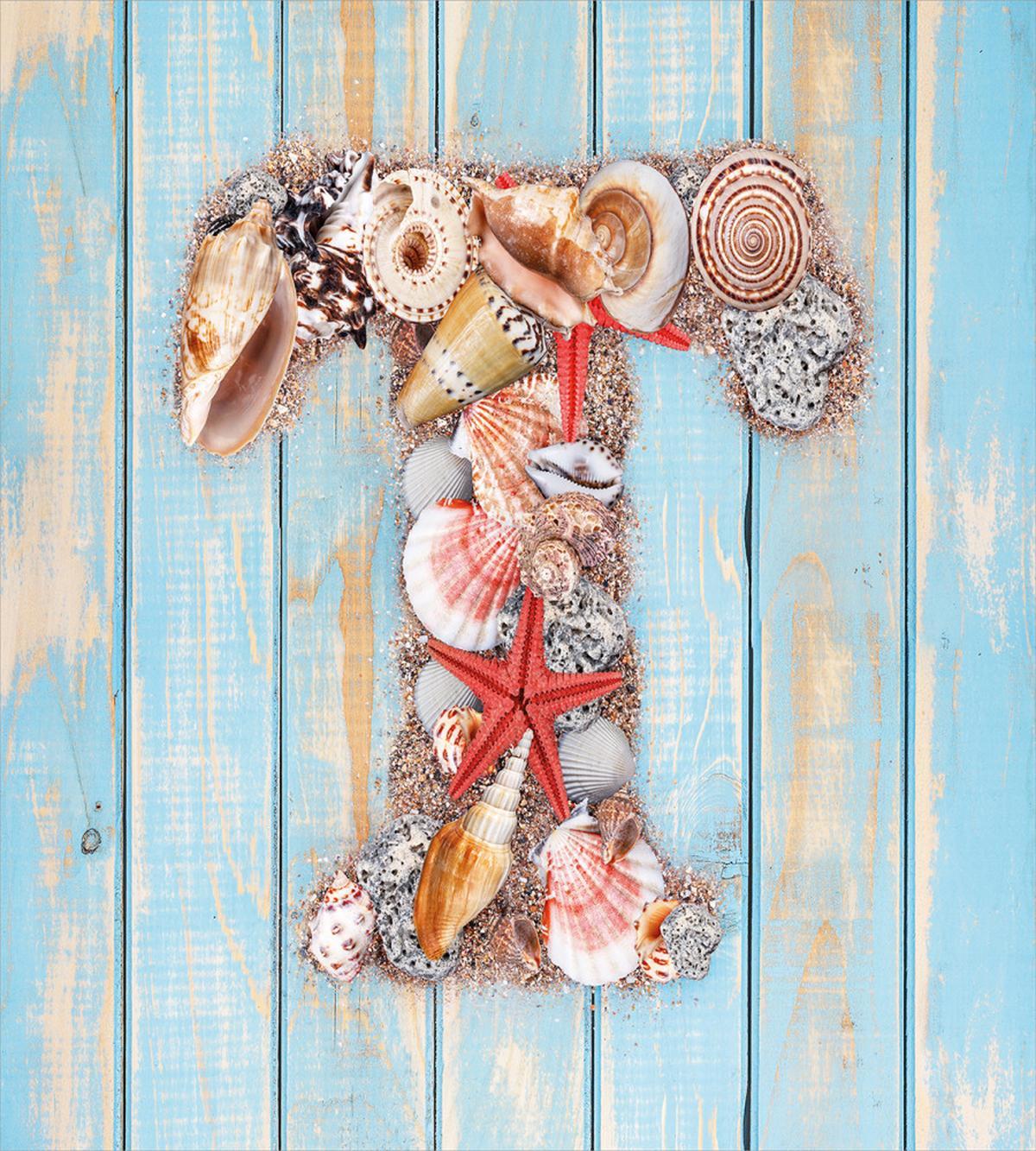 Marine T Invertebrates — Pattern