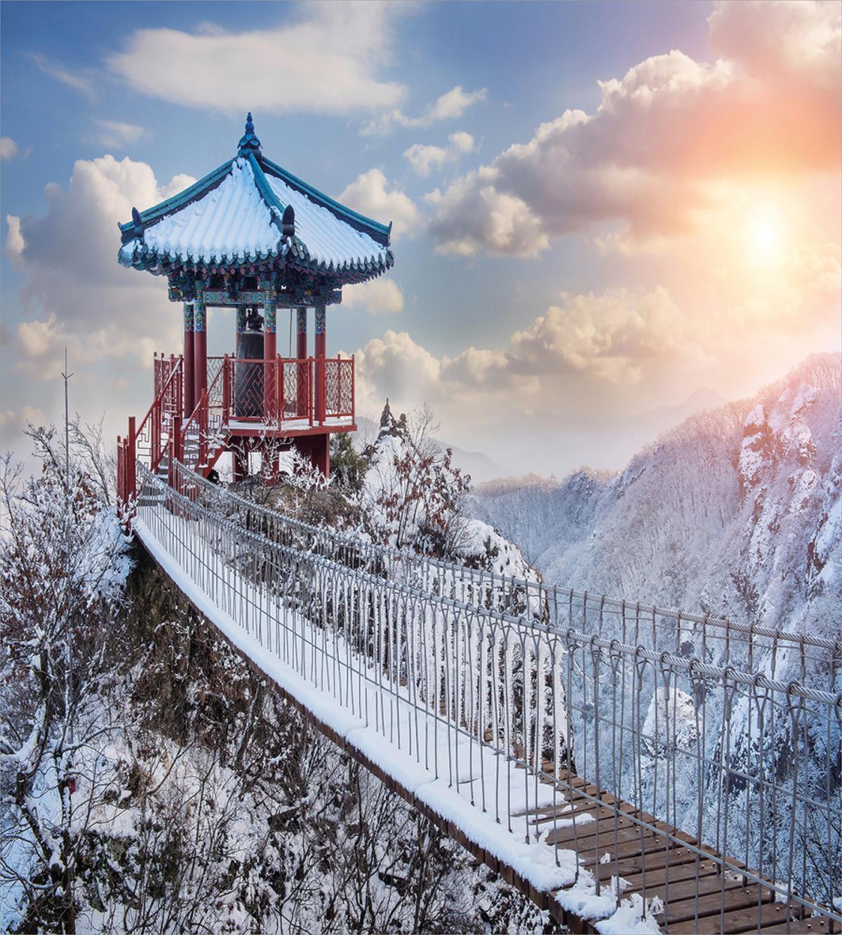 Culture South Korea — Pattern