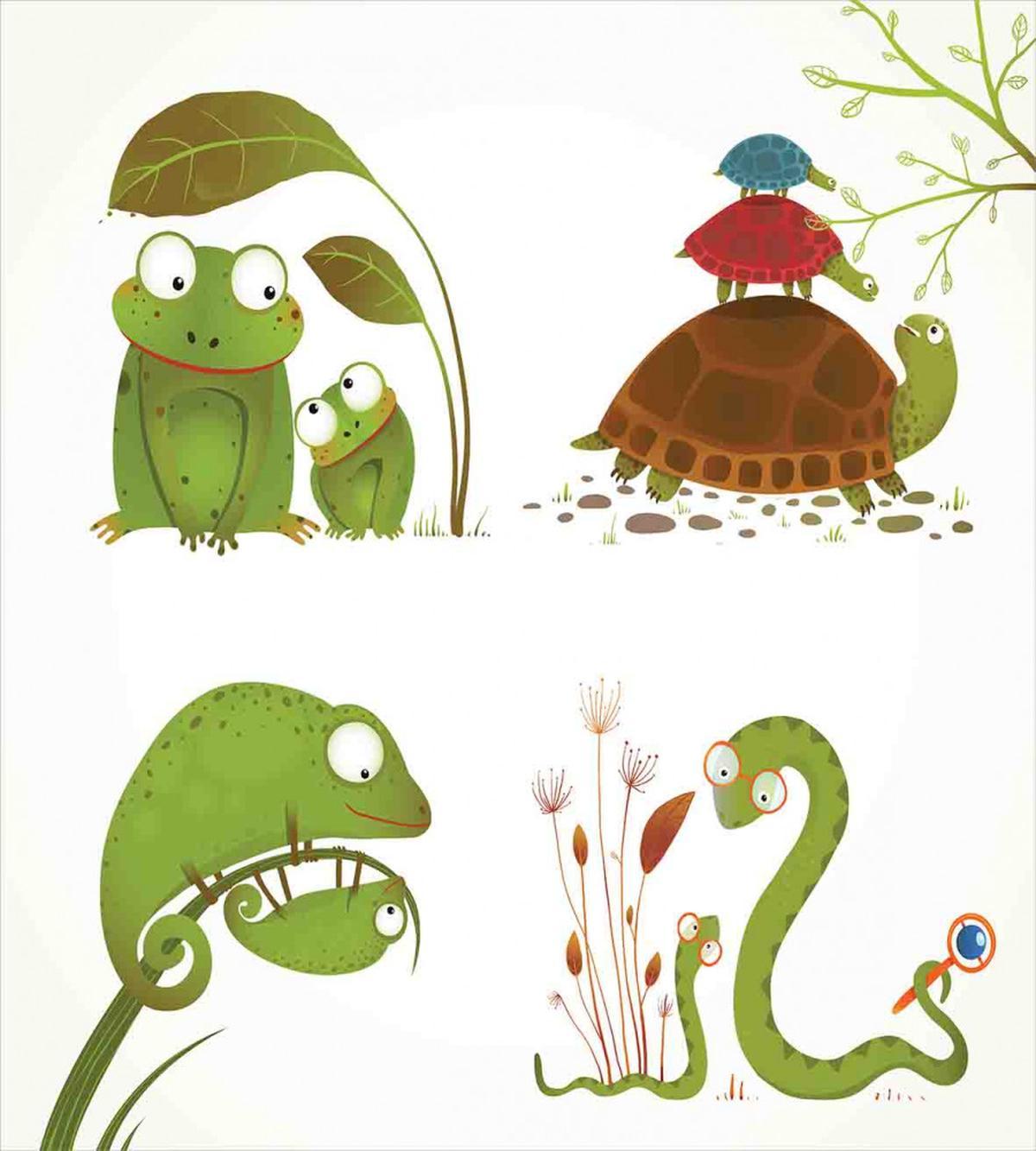 Snake Frog Ninja Reptile — Pattern