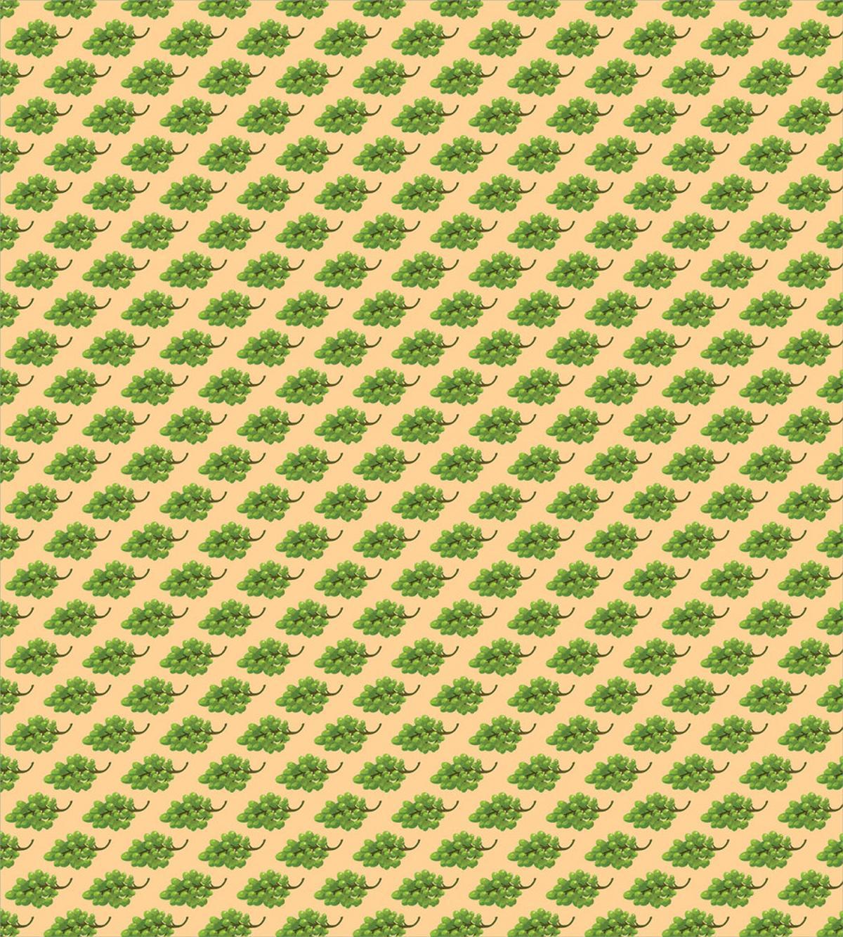 Grape Bunches — Pattern