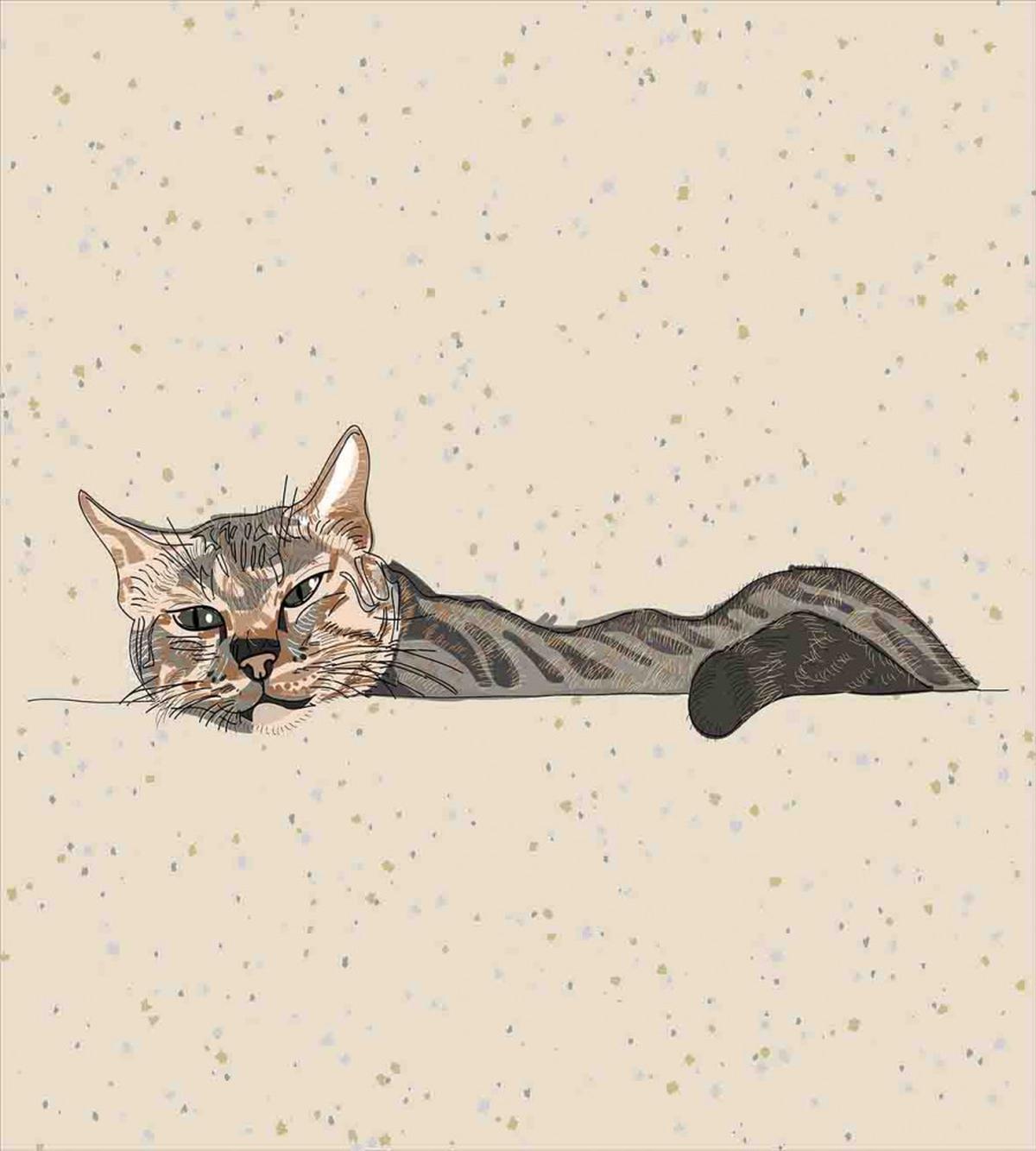 Lazt Sleepy Cat — Pattern