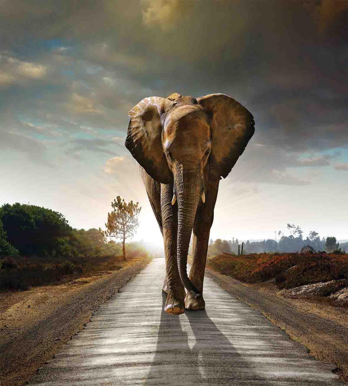 Walking down a Road — Pattern