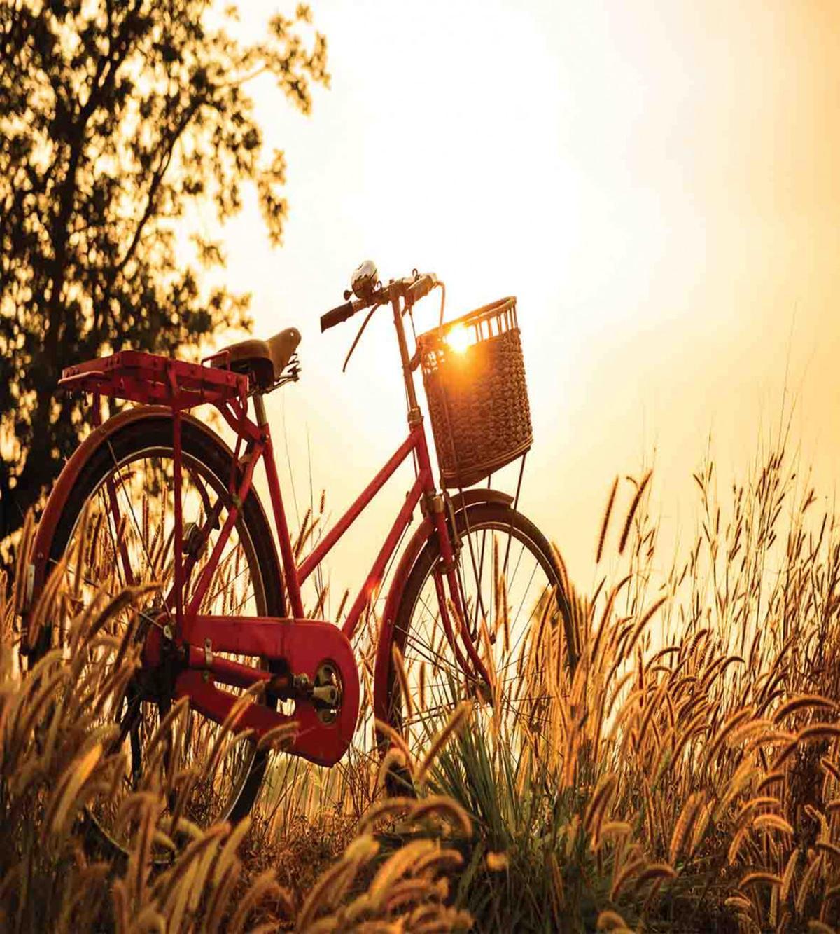 Bike in Sepia Tones Rural — Pattern