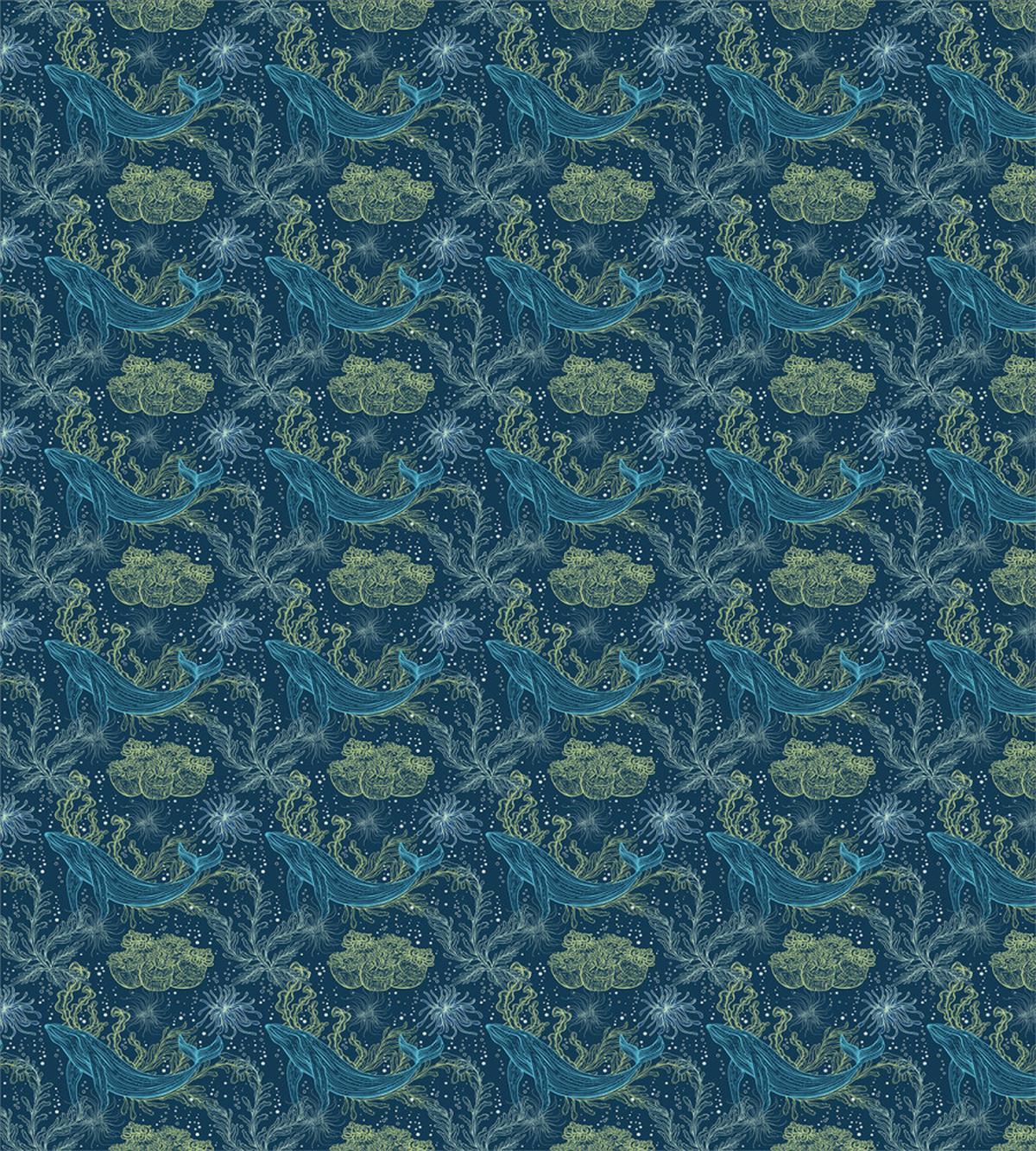 Marine Fauna and Flora — Pattern