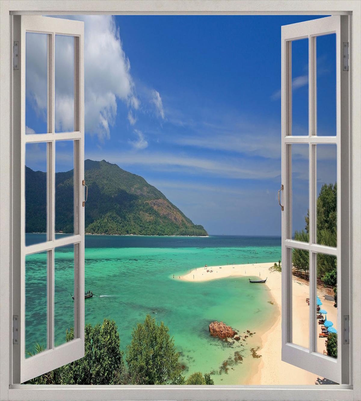 Tropic Scene in Window — Pattern