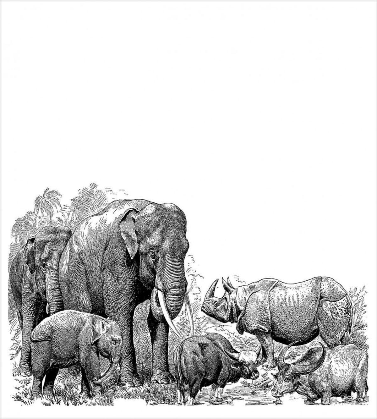 Elephants — Pattern