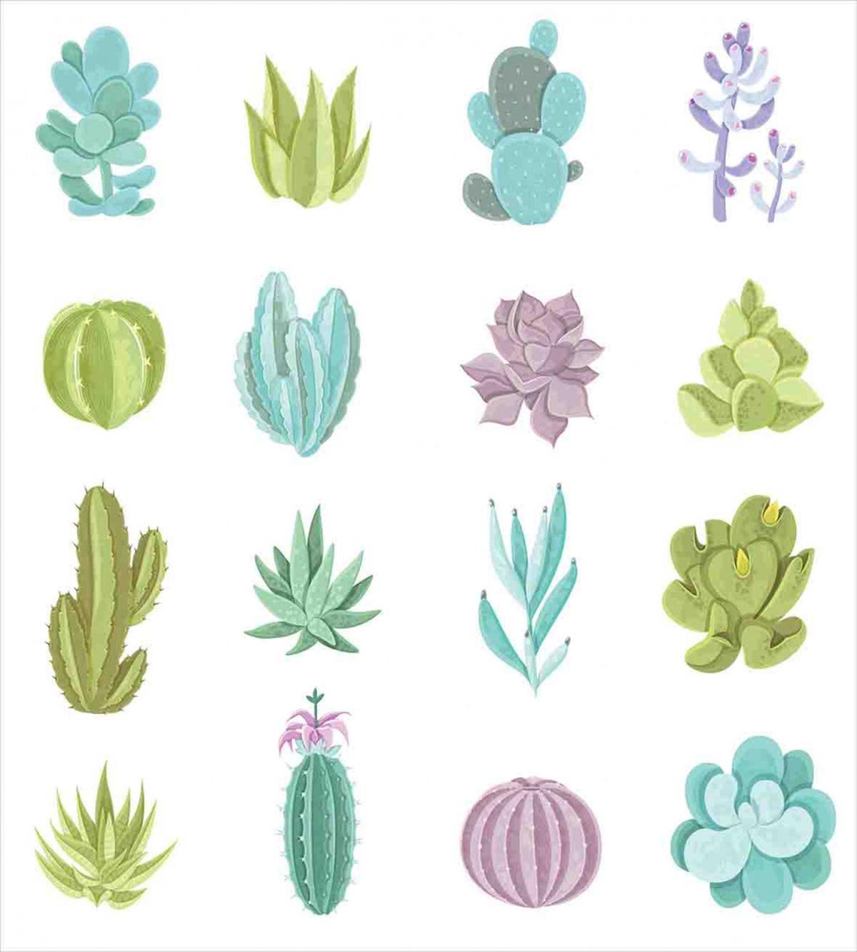 Tropical Desert Plants — Pattern