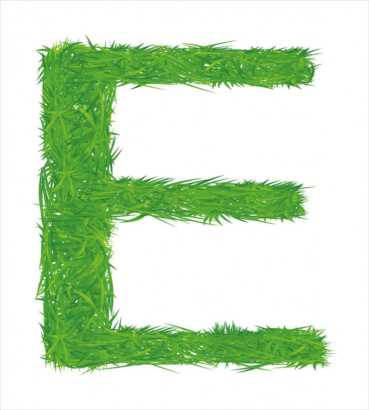Woodland Uppercase E — Pattern