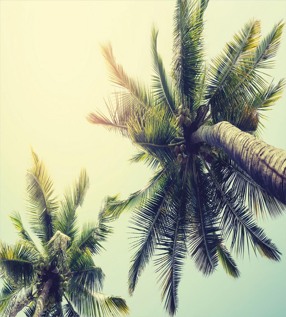 Caribbean Coastline Ocean — Pattern