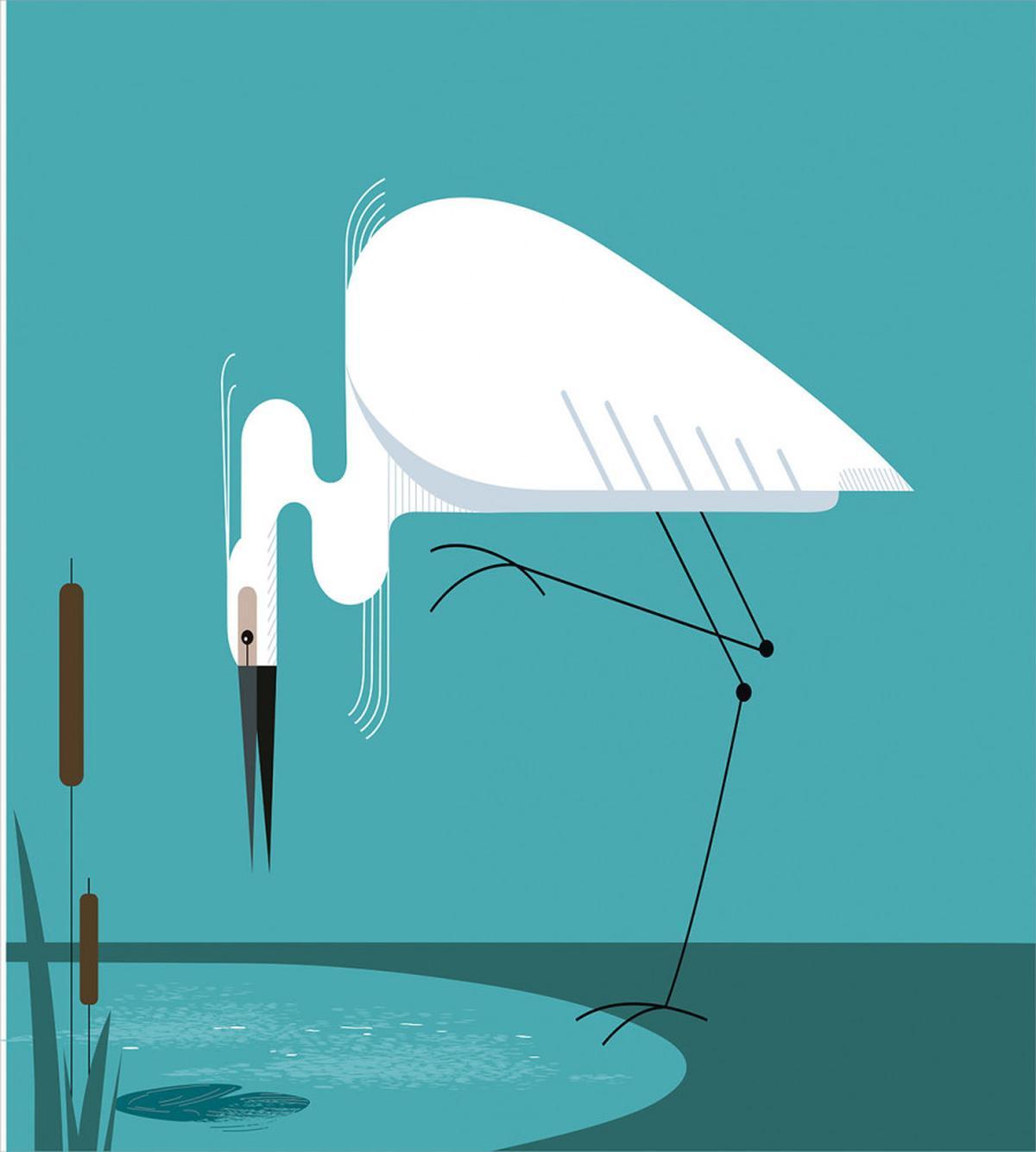 Bird Stands on Lake Shore — Pattern