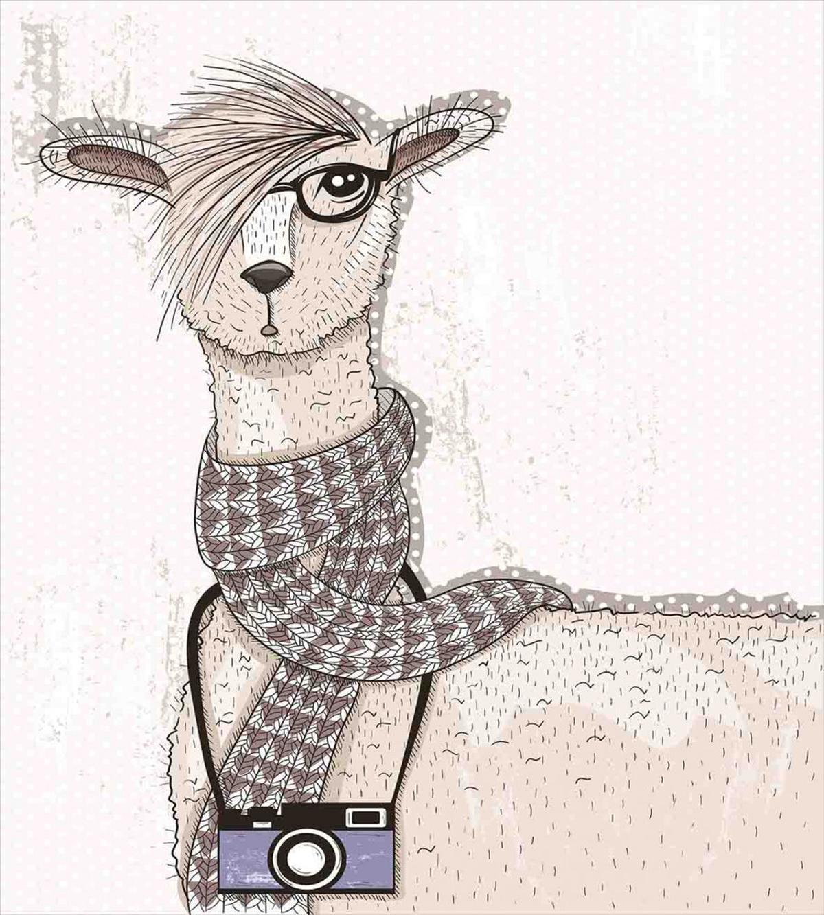Hipster Lama Camera — Pattern