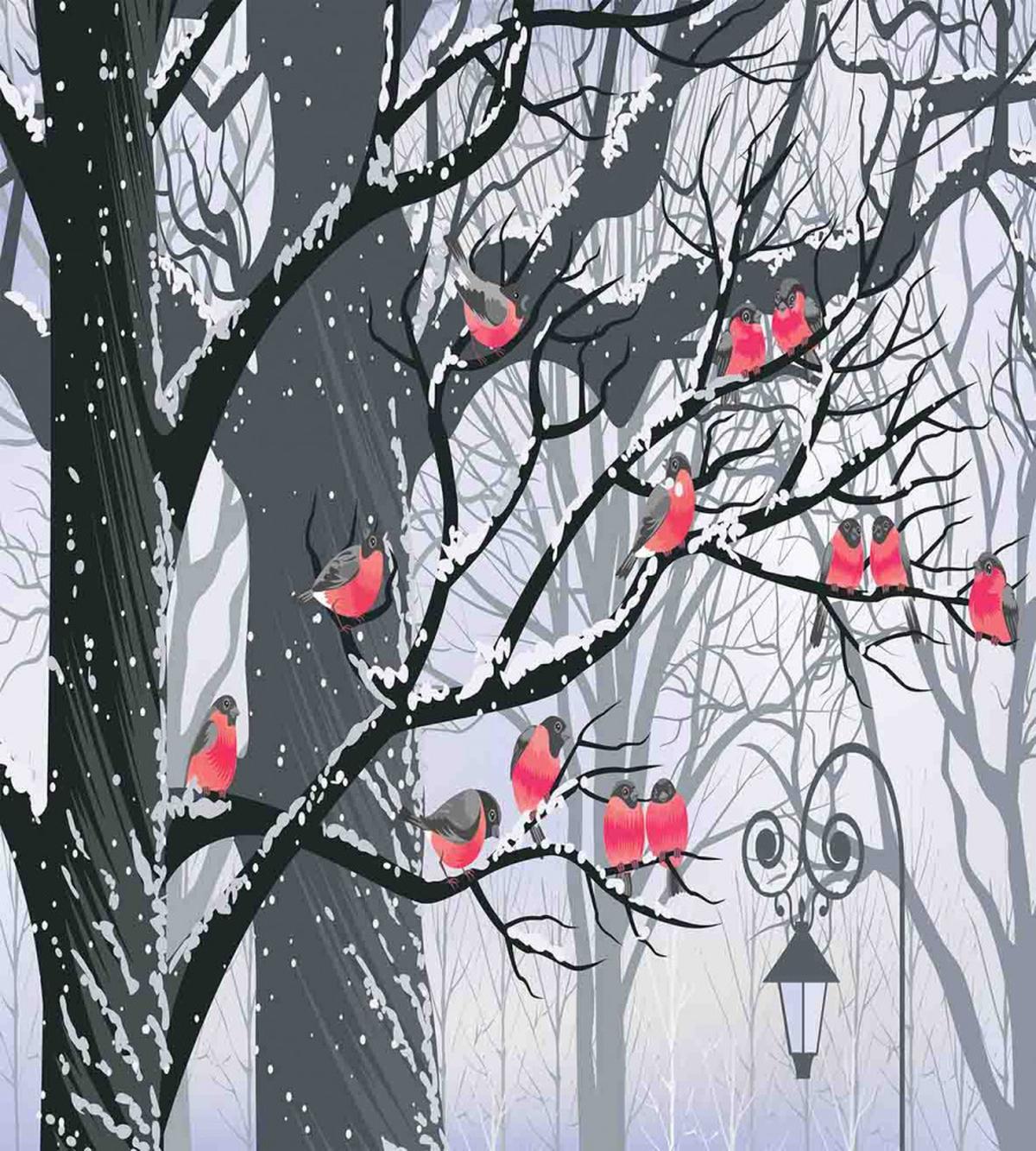 City Park Snow Cold — Pattern