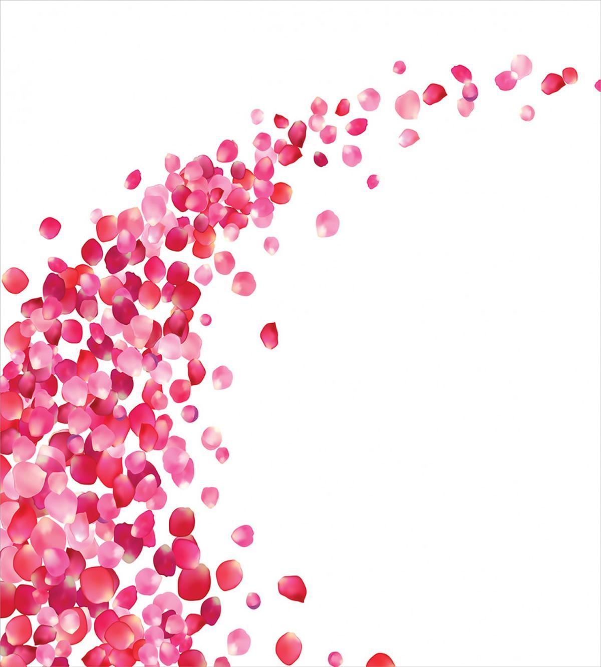 Rose Petals Vortex — Pattern