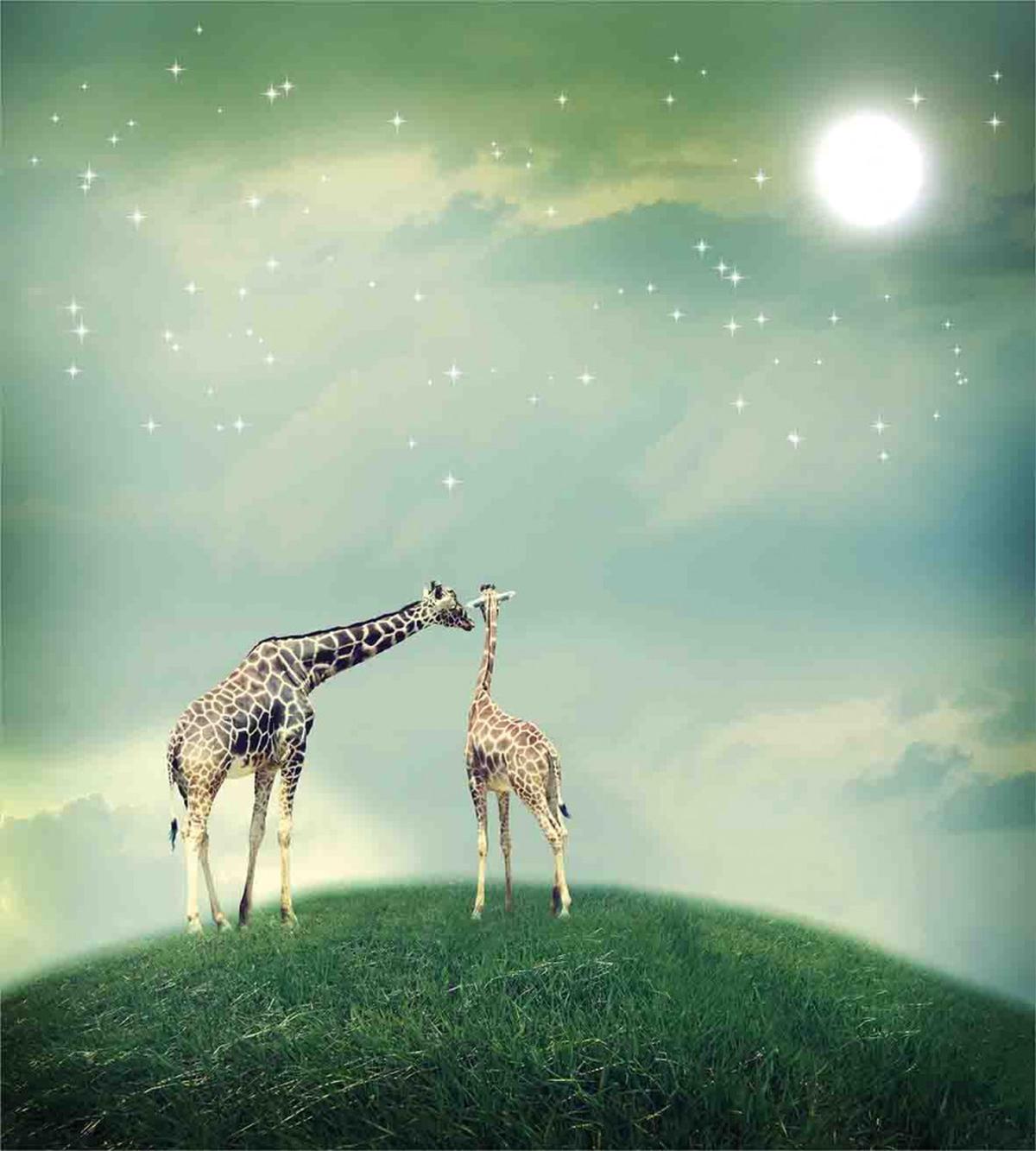 Fairytale Atmosphere — Pattern