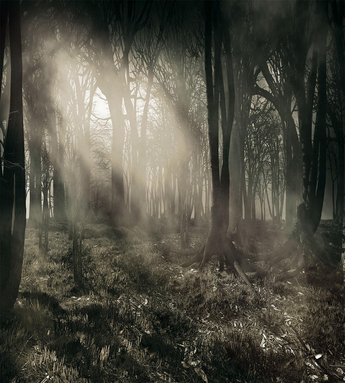 Nostalgic Dark Forest — Pattern