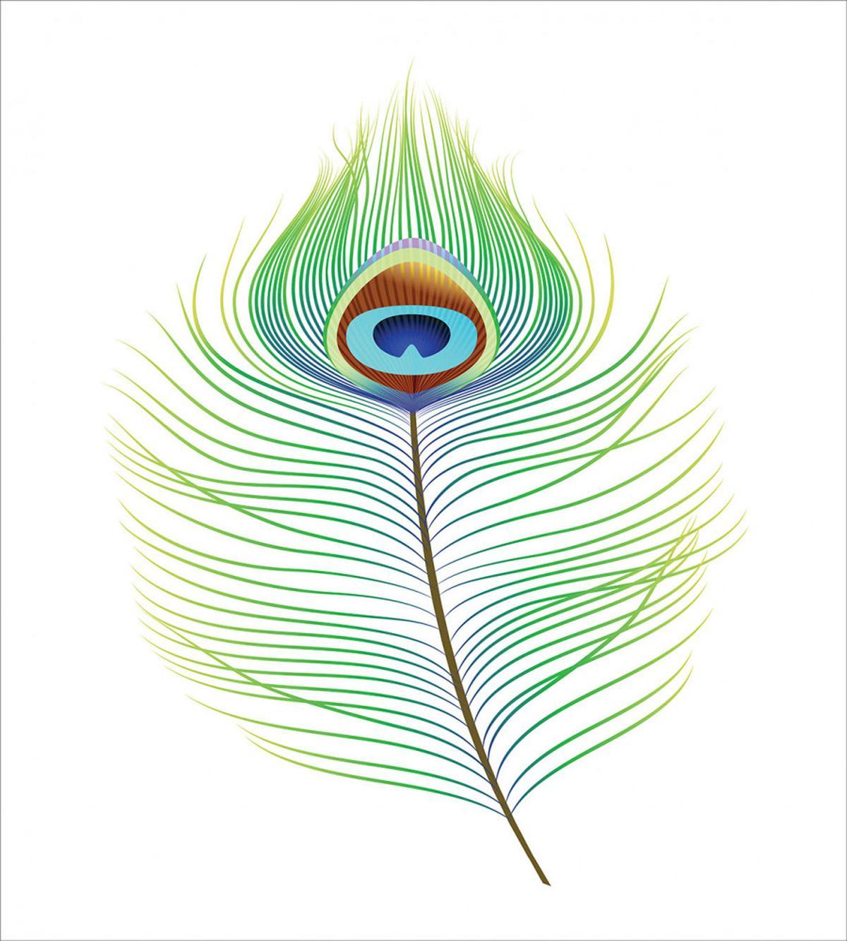 Single Retro Plume Peacock — Pattern