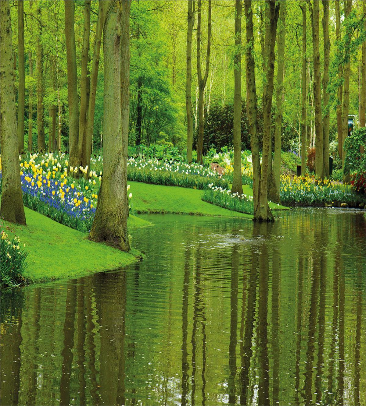 Forest with Lake Botany — Pattern