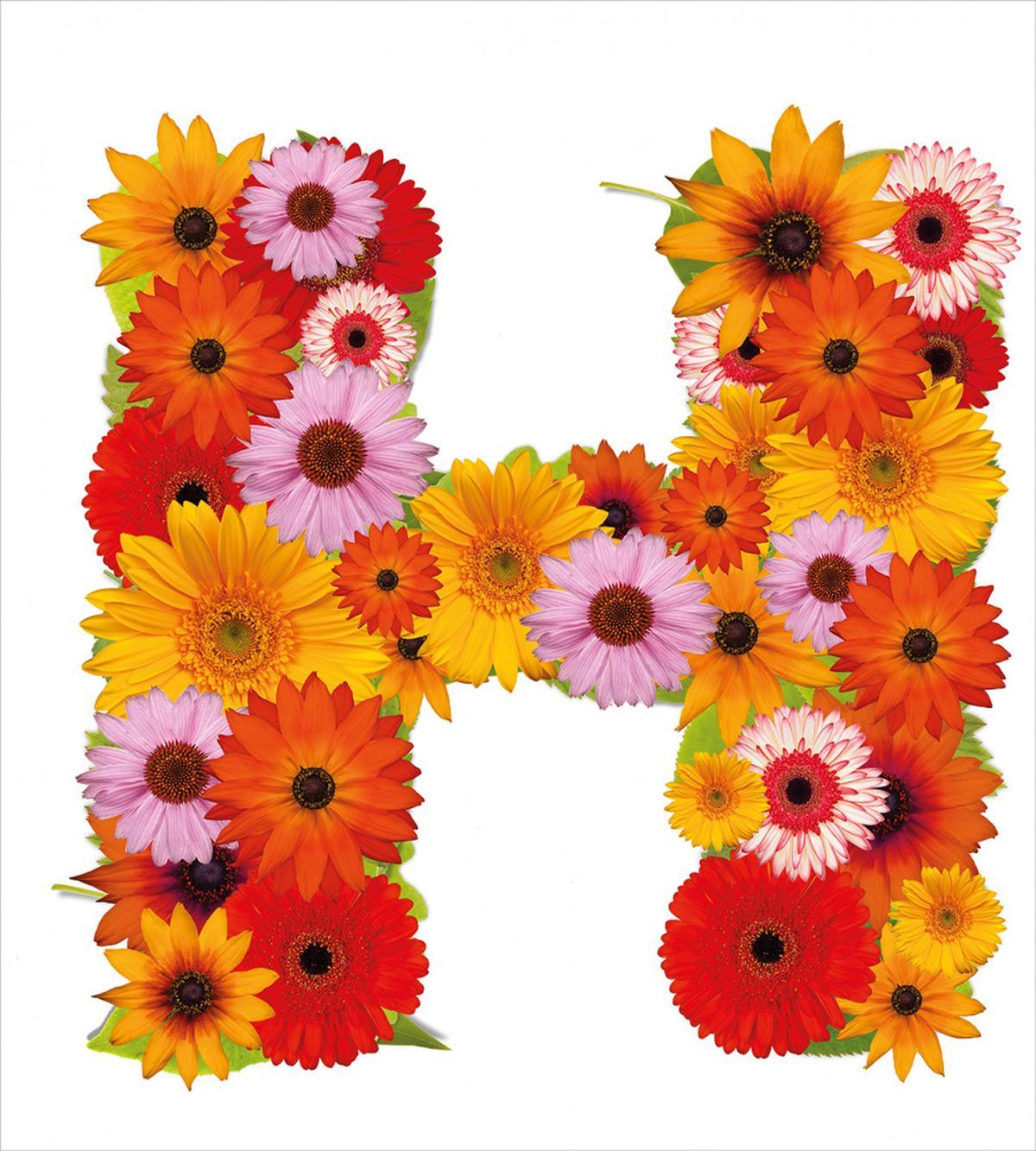 Summer Vibes Letter — Pattern