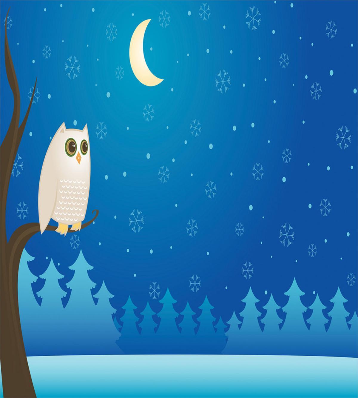 Owl on Tree Branch Art — Pattern