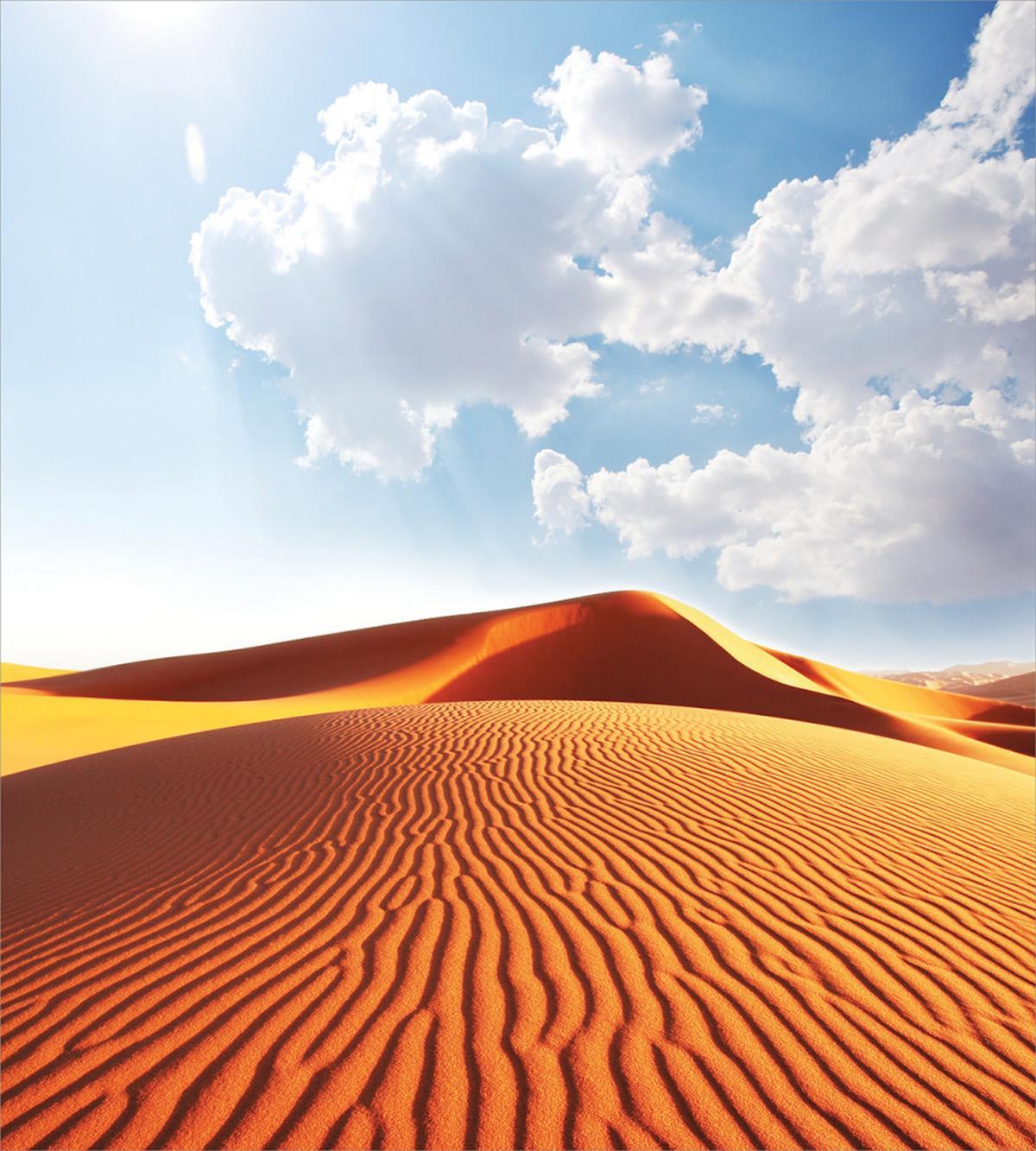 Landscape with Dunes — Pattern