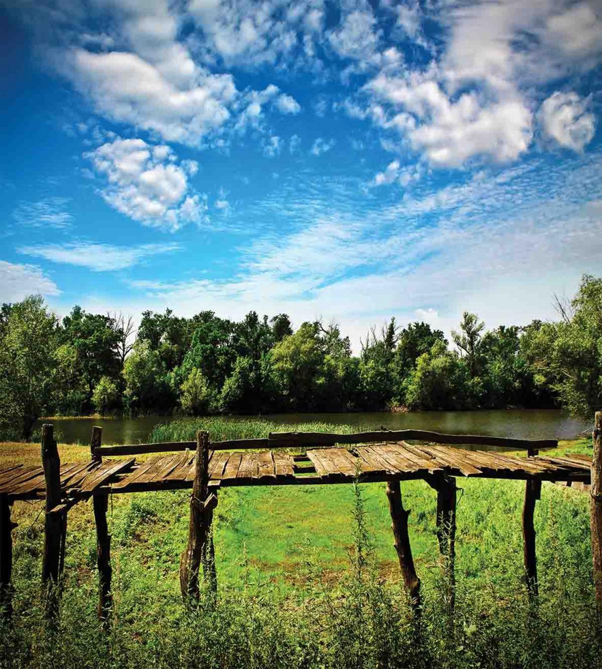 Old Wooden Bridge Summer — Pattern