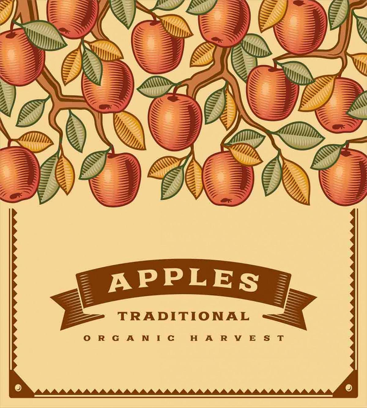 Vintage Apple Harvest — Pattern
