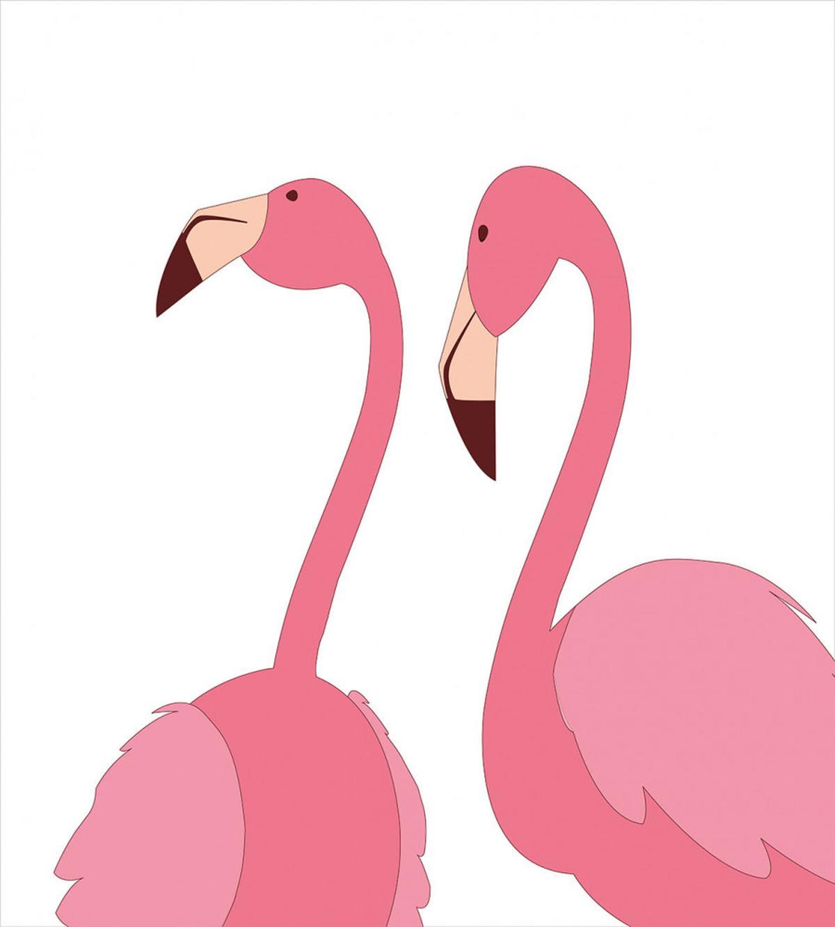 Exotic Pink Birds Animals — Pattern