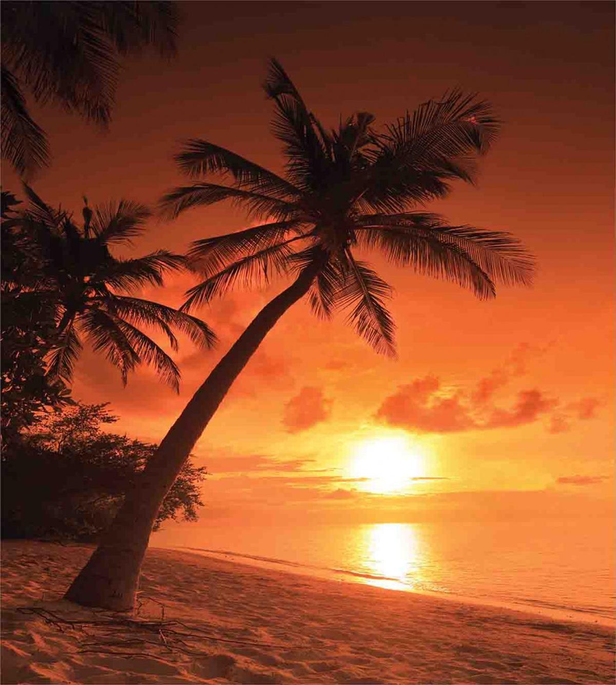 Twilight Coconut Palms — Pattern