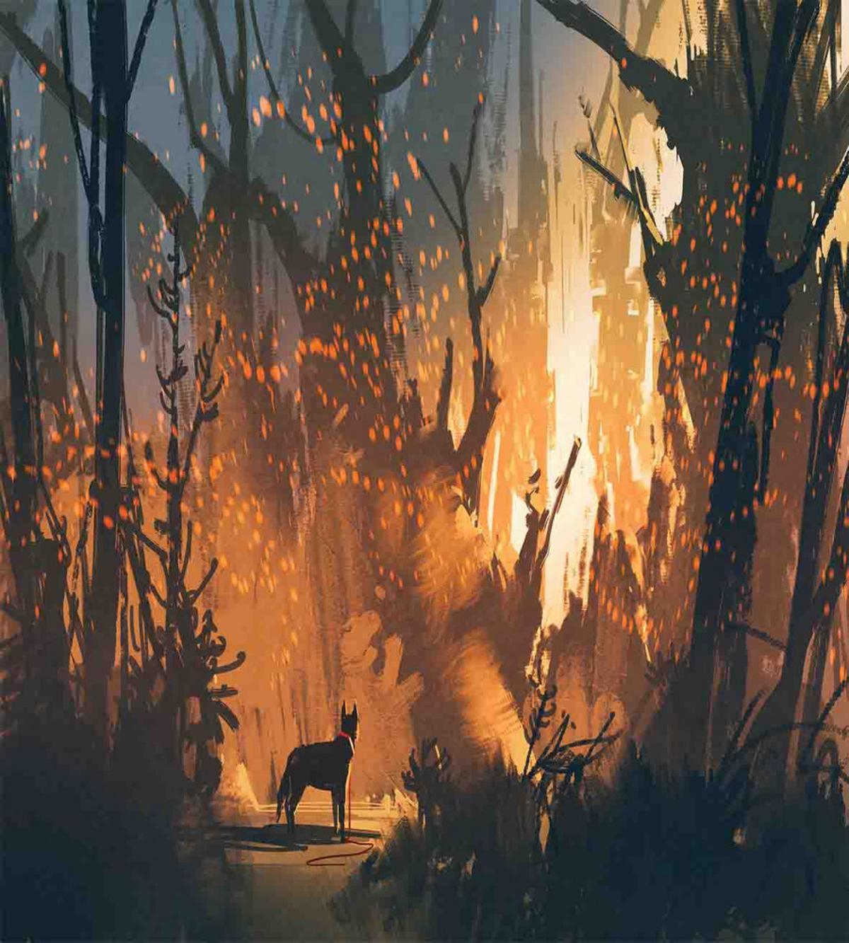 Lost Dog in Forest Art — Pattern
