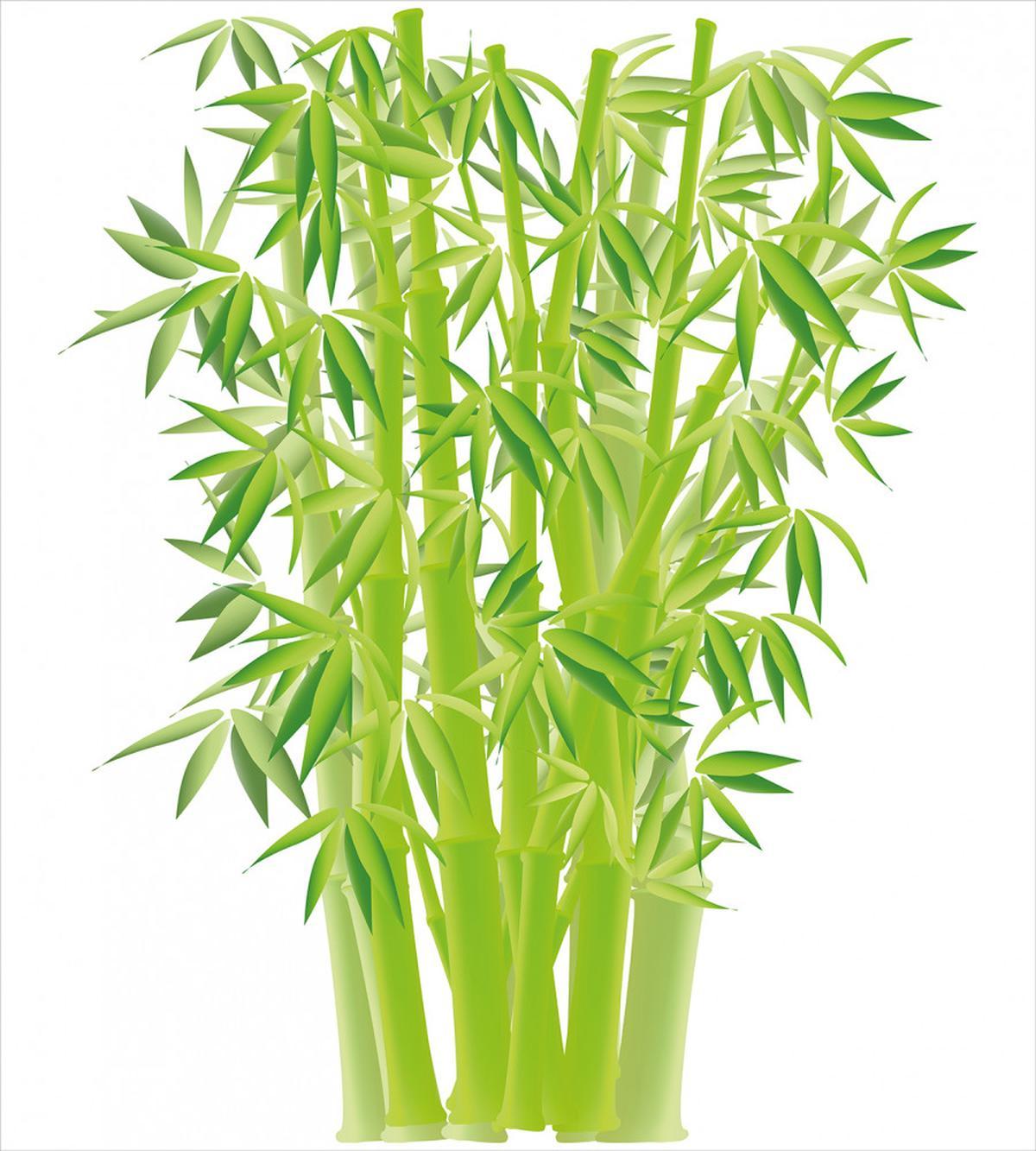 Bamboo Stems with Leaves — Pattern