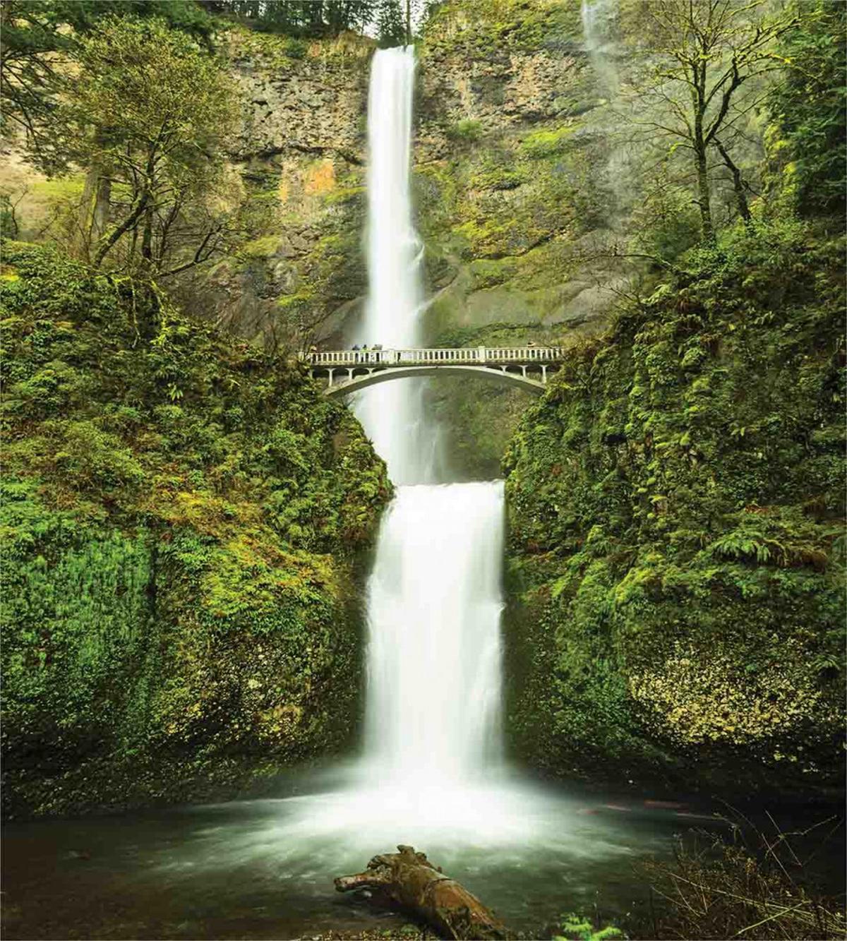 Waterfall Oregon Bridge — Pattern
