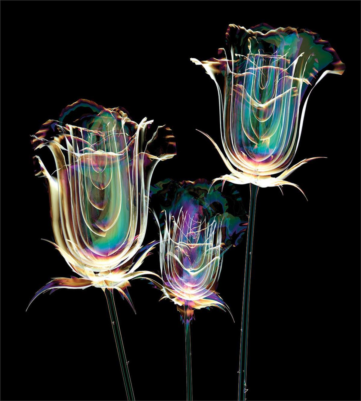 Soap Bubble Look Roses Art — Pattern