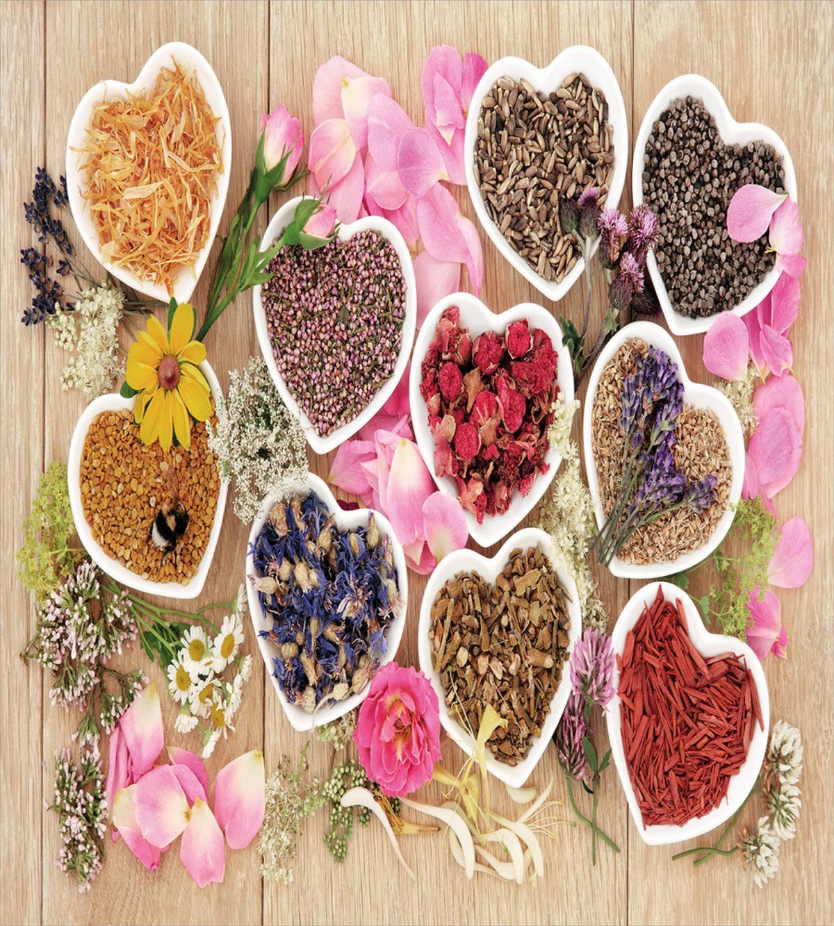 Healing Herbs Bowls — Pattern