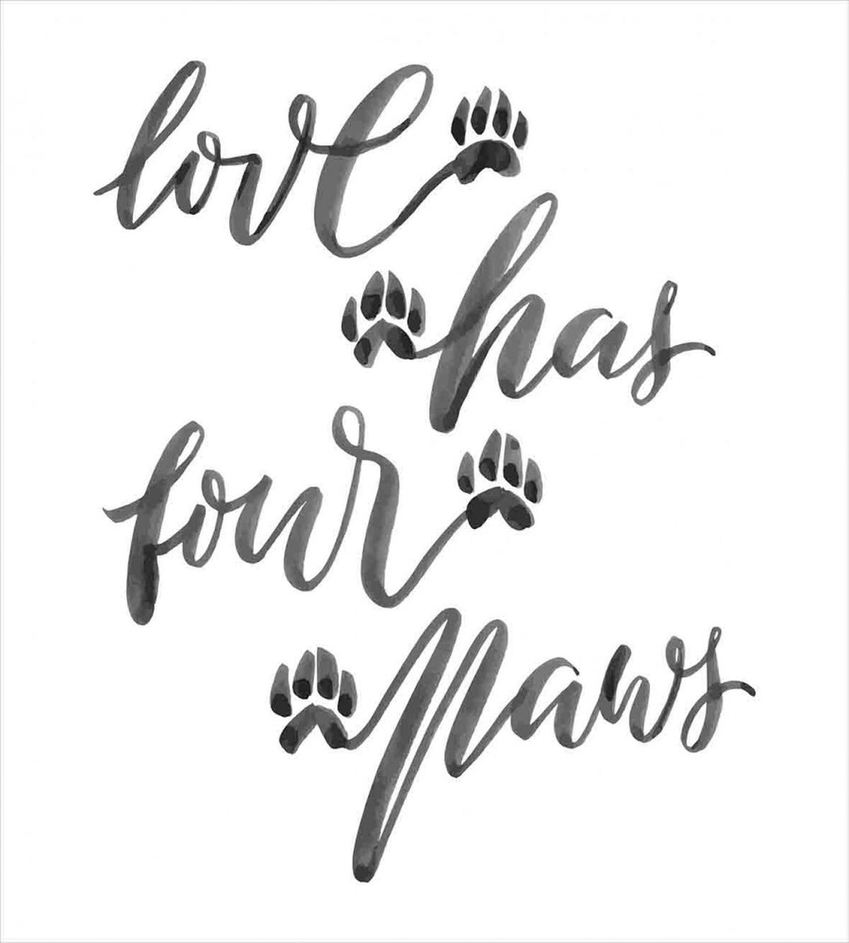Brush Text Animal Lover — Pattern