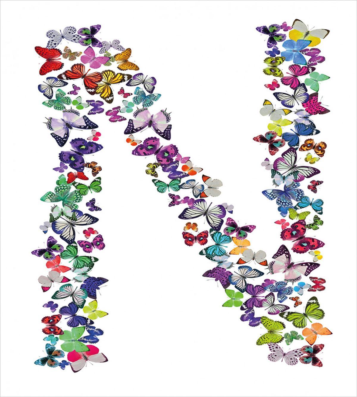 Capitalized N Animals — Pattern