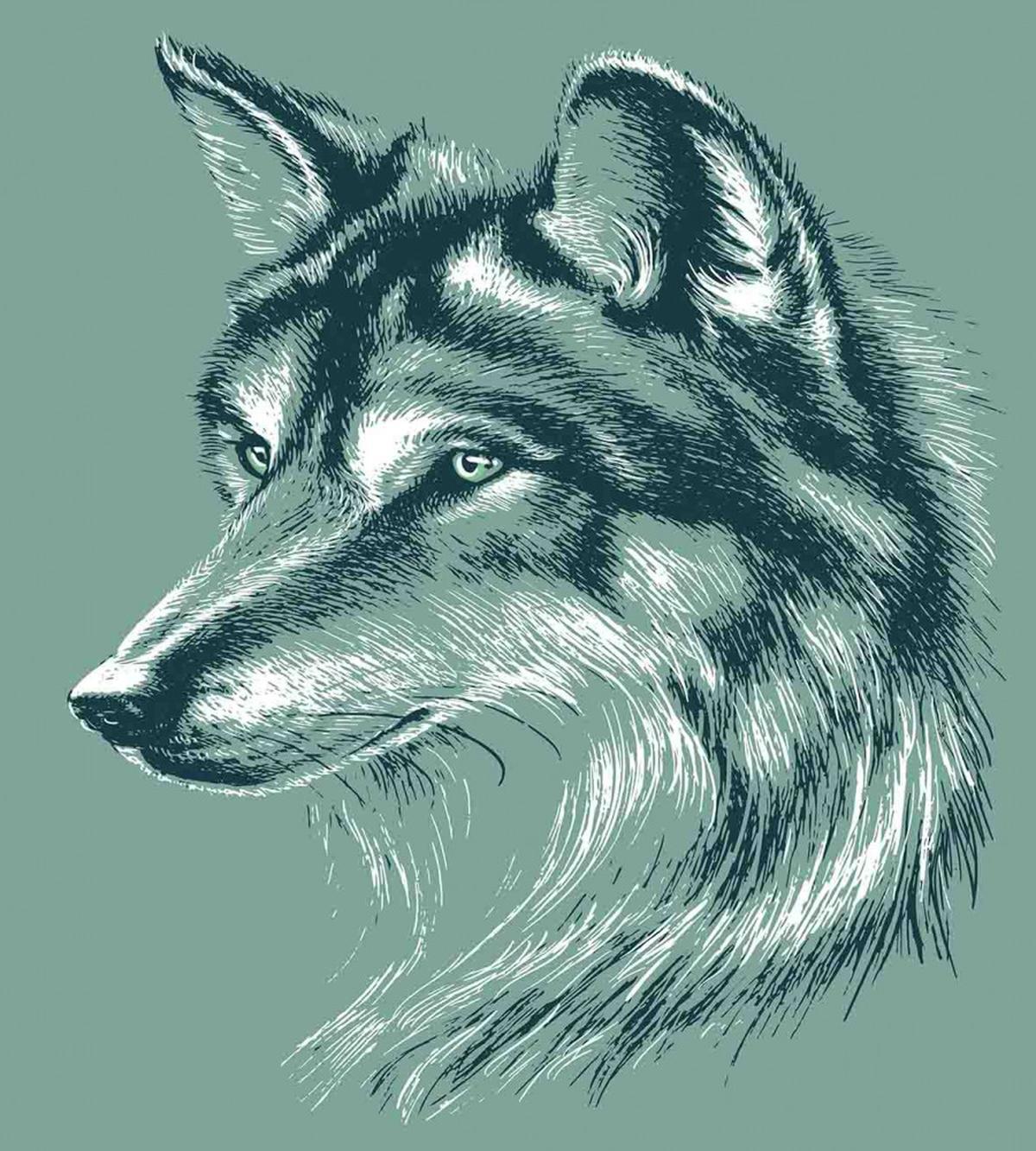 Wild Exotic Wolf Image — Pattern