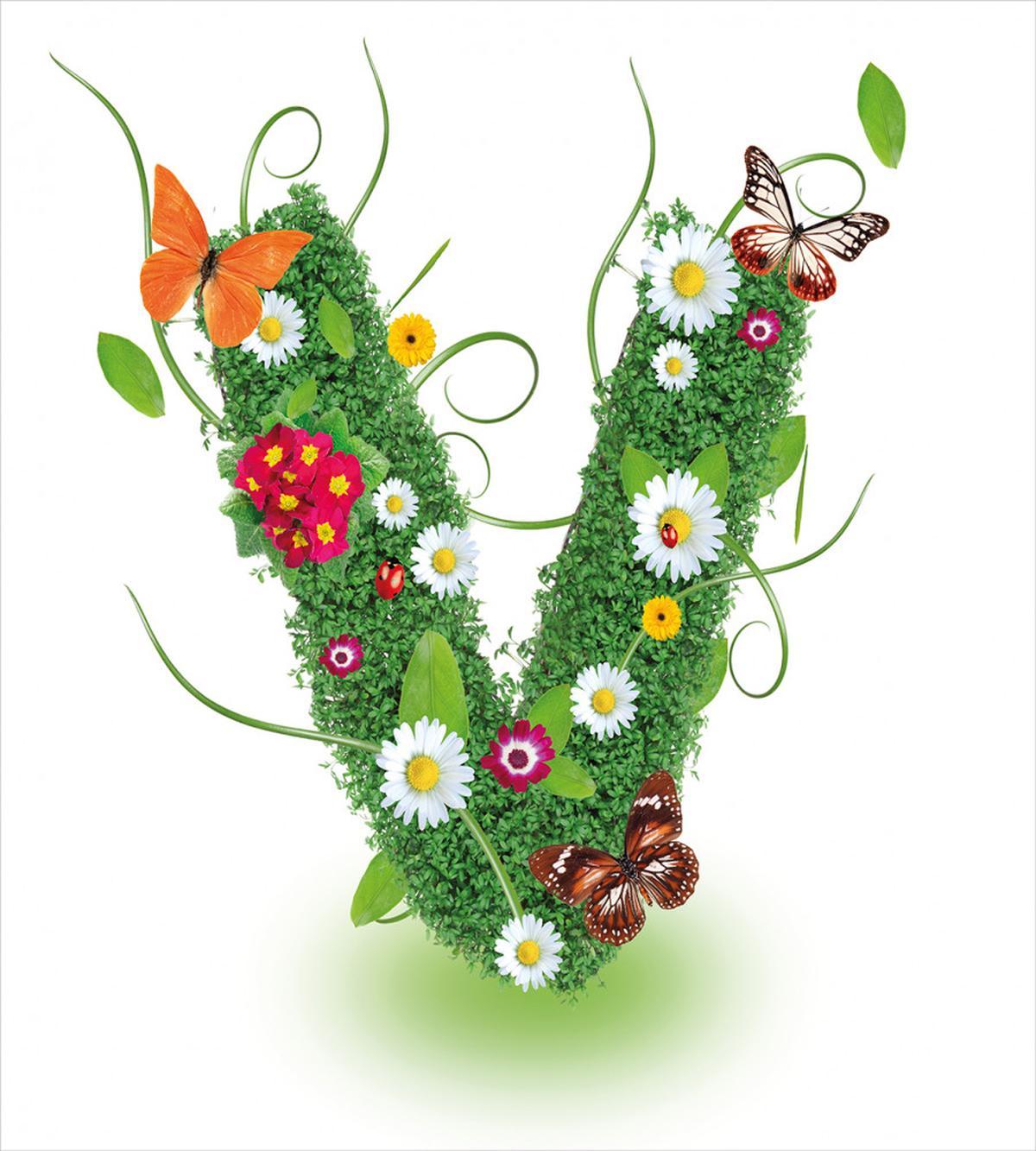 Lively Daisy Bouquet — Pattern