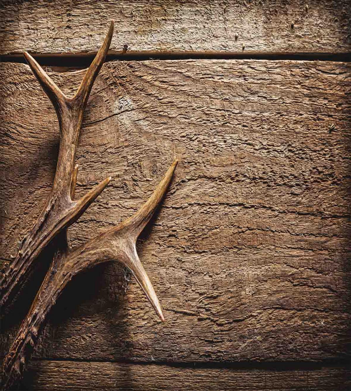 Wooden Deer Rustic Antler — Pattern