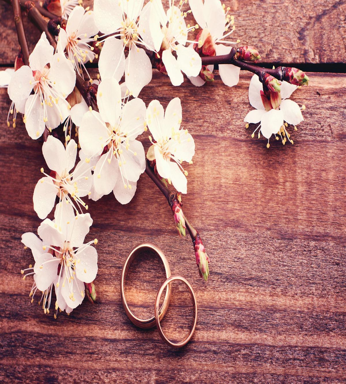 Flowers Rings Wooden — Pattern